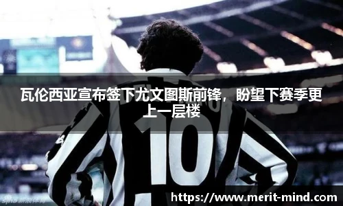 XK星空官方网站