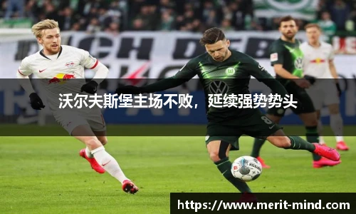XK星空官方网站